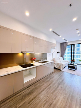 Siêu hot: Chính chủ bán 2PN - 2VS - 55.4m2, Vinhomes Smart City, chỉ bán trong tuần này
