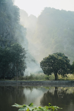 Đất khu du lịch Tam Cốc, đất làm homestay, khách sạn, du lịch văn hoá, sổ đỏ full thổ cư 275m2