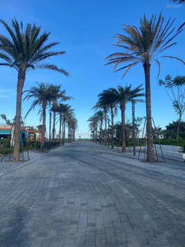 Bán Shophouse 96m2 giá 6,5 tỷ mặt biển dự án Vlasta Sầm Sơn khu đô thị biển sổ đỏ lâu dài