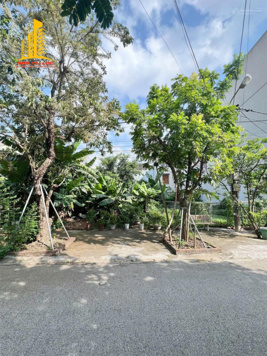 BÁN ĐẤT NGÕ TÂN AN TÂN THÀNH HOA LƯ - NINH BÌNH