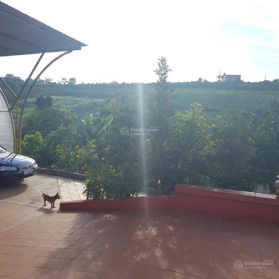 Chính chủ cần cho thuê nhà nguyên căn tại hẻm 321 Lý Thái tổ, Phường 2 Bảo Lộc