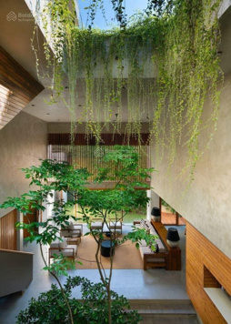 Chính chủ cần cho thuê biệt thự giới thượng lưu tại KĐT Starlake giá chỉ từ 60tr/tháng