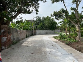 Bán 585m2 tại xã Quang Phục, Tứ Kỳ. Đường to 5m oto vào. Mặt tiền 10m giá chỉ 6tr/m2