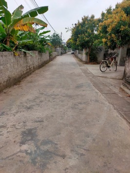 Cần bán LÔ GÓC tại An Thanh, Tứ Kỳ. Dt 99m2 đường oto vào. Giá 900tr