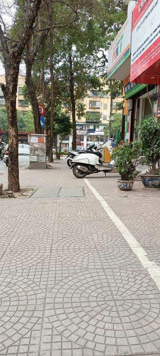 Bán nhà mặt phố Trúc Khê, Đống Đa, 2 thoáng, tiện kinh doanh 5 tầng 55m2 giá 31.8 tỷ