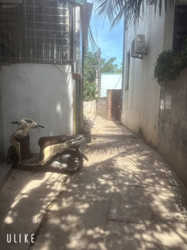 Nhà đẹp dân xâyđường ngõ thông thoáng dân cư thân thiện