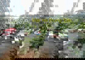 CHÍNH CHỦ BÁN CĂN GÓC BIỆT THỰ HOÀNG THÀNH VILLAS