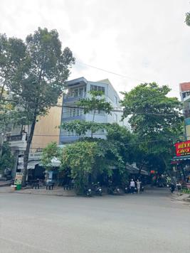 Bán nhà mặt phố Nguyễn Gia Trí, Bình Thạnh, Hồ Chí Minh, 61 tỷ, 186m2, giá tốt nhất thị trường