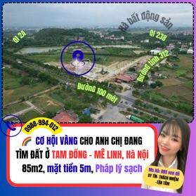 ĐẤT ĐẤU GIÁ TAM ĐỒNG – MÊ LINH – HÀ NỘI, cam kết bán đúng giá chủ thu