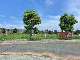 Duy nhất 1 lô 100m cuối cùng tại dự án Centre Ville Lương Sơn dành cho KH nhanh tay sở hữu!