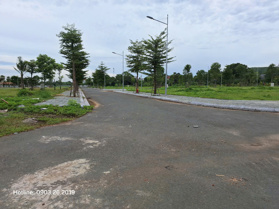 Gọi Ngay! Bán nhanh lô biệt thự 210m2 Centre Ville Lương Sơn giá cho khách đầu tư