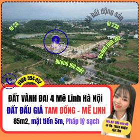 ❗BỎ LỠ LÀ HẾT – ĐẤT ĐẤU GIÁ TAM ĐỒNG X1 – MÊ LINH – HÀ NỘI, em hà cam kết bán đúng giá chủ thu