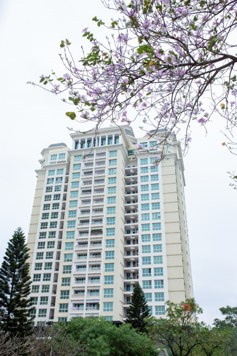 ✨ FOR RENT – CT36 XUÂN LA - 0936388318 - 3N2W - 16TR