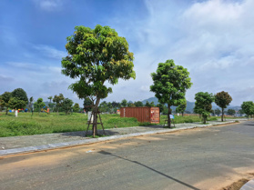 bán nhanh lô liền kề centreville Lương Sơn thuộc dãy LK1