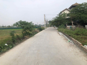 bán 65m2 đất bìa làng đại bằng nguyên khê đông anh, giá rẻ nhất