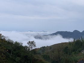 Cần bán 76.000m2 đất homestay Noong Luông, Mai Châu, Hòa Bình, giá rẻ hơn thị trường