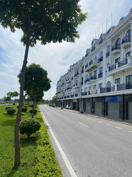 🌹Chuyển nhượng cắt lỗ giá siêu tốt KĐT Bắc Đầm Vạc LK 96,108m loại BT266,445m từ 43tr/m 0988296228