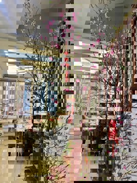 Bán nhà SĐCC Nguyễn Khang, 10m ra phố, 8.6 tỷ