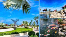 Mở bán dự án Khu đô thị Alana City TP. HCM mới ngay gần KCN VSIP 2 2000ha