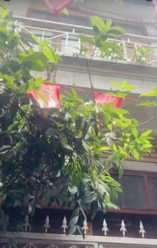 BÁN ĐẤT TẶNG NHÀ 3 TẦNG PHỐ VÕNG THỊ.100M RA PHỐ TRÍCH SÀI.RẺ NHẤT KHU VỰC.DT:58M,MT: 8M,CHỈ 13 TỶ