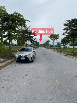 Chính chủ bán gấp lô đất đẹp KĐT Nam Vĩnh Yên đối diện trường THCS Thanh Trù và Vinhomes VP 3,78 tỷ