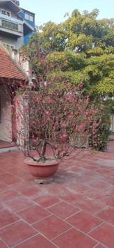 Bán nhà đẹp Serie 9 căn 7tầng thang máy nhỉnh 9tỷ Ba Đình, Tây Hồ, Cầu Giấy, Từ Liêm, Đống Đa...