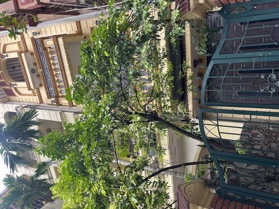 Cực hiếm! Bán gấp nhà Trương Định 82m2 4 tầng MT 7m - 12,6 tỷ - Ô tô ngủ trong nhà - Cách phố 15m 