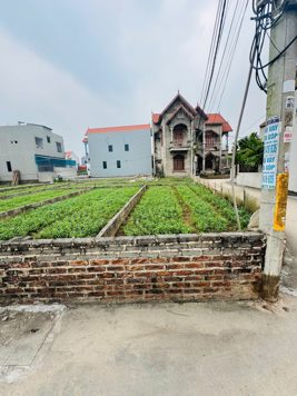 Bán gấp đất tại Đường 73, Thống Nhất, Thường Tín, Hà Nội giá ưu đãi DT 250m2 lô góc