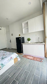 Siêu phẩm tâm huyết, Bán CHDV đẹp Lê Văn Thọ, P8, Gò Vấp, 24 tỷ