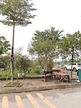 160m² FULL THỔ CƯ – LÔ GÓC 2 MẶT TIỀN – GIÁ 15 TỶ