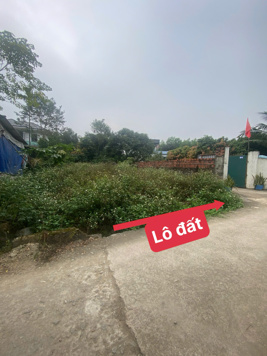 💥BÁN GẤP LÔ ĐẤT HƯỚNG ĐẠO SÁT KCN TAM DƯƠNG DT107,7m2 MT5m sẵn sổ sang tên 1,2 tỷ