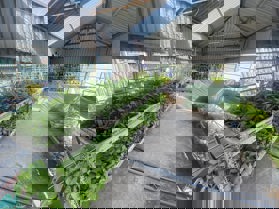 Rau được ăn mà nhà thì chưa tìm được chủ. Bán Nhà Thanh Lân Vĩnh Hưng 30M,5T chỉ 5X hiếm