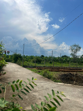 ✅✅✅Bán lock suối tiên giá rẻ chỉ từ 320