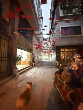 Bán nhà Vương Thừa Vũ, Thanh Xuân, Phân lô, ô tô, 50m2, 17.5 tỷ