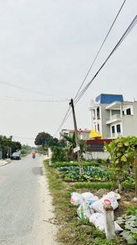 🔥 BÁN ĐẤT MẶT QL 391B – TỨ KỲ, HẢI PHÒNG