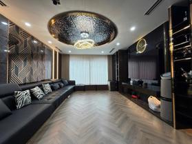 PHỐ LÒ ĐÚC, LÔ GÓC - THANG MÁY - TẶNG NỘI THẤT TIỀN TỈ 