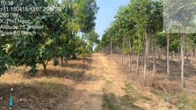 Bán 2 miếng đất diện tích 11141m2 và diện tích 8016m2 nằm sát nhau tại Xã Phú Ngọc, Định Quán