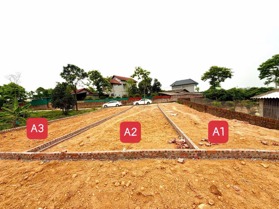 BÁN LÔ ĐẤT ĐẸP HOÀNG HOA-TAM DƯƠNG-VĨNH PHÚC 102,5m MT5m SẴN SỔ SANG TÊN giá chỉ 690tr