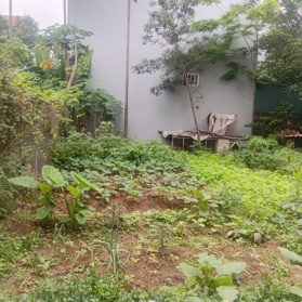 BÁN ĐẤT XÃ ĐÔNG ANH GẦN CẦU TỨ LIÊN - LÔ GÓC - Ô TÔ 70M CHỈ HƠN 5 TỶ