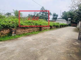 BÁN GẤP LÔ ĐẤT ĐẸP GẦN TRƯỜNG LÁI HOÀNG HOA- TAM DƯƠNG DT106m MT8m sẵn sổ GIÁ 470tr SĐCC