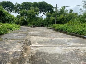Bán đất đấu giá thôn Lộc Hà, Mai Lâm, Đông Anh, Hà Nội