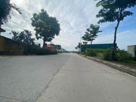 Bán đất đấu giá X7 Hà Lâm Thụy Lâm Đông Anh trục kinh doanh 