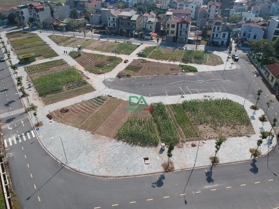 Chuyển nhượng đấu giá X1 Lê Xá - Xã Mai Lâm - Đông Anh
