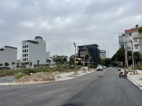 Bán đất đấu giá X1 Uy Nỗ Đông Anh – Khu 3 Ha vườn đào kinh doanh
