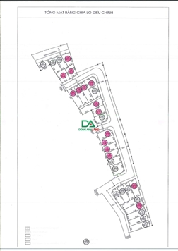 BÁN 80M ĐẤT ĐẤU GIÁ THỤY LÂM ĐÔNG ANH (X4 THỤY LÔI)