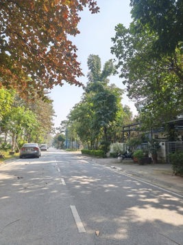 BÁN BIỆT THỰ LIỀN KỀ GAMUDA GADEN. HOÀNG MAI. 120M2 - 3 TẦNG.