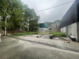 Bán đất đấu giá X2 Hương Trầm Thụy Lâm Đông Anh – Đường 12m