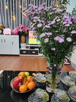 Gia đình chuyển nhà đất bán căn hộ chung cư, đầy đủ pháp lý