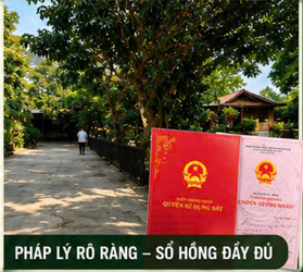 1 lô duy nhất, bố mẹ nuôi nhờ bán trang trại 5ha, nơi chữa lành tâm hồn