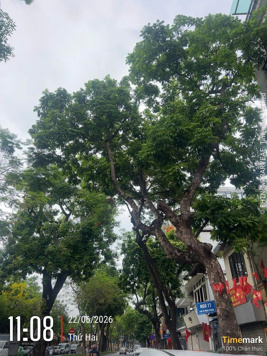 LÊ HỒNG PHONG – BA ĐÌNH | MẶT PHỐ HIẾM, VIEW LĂNG BÁC